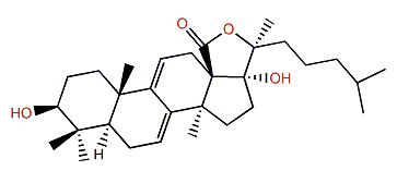 Holothurinogenin